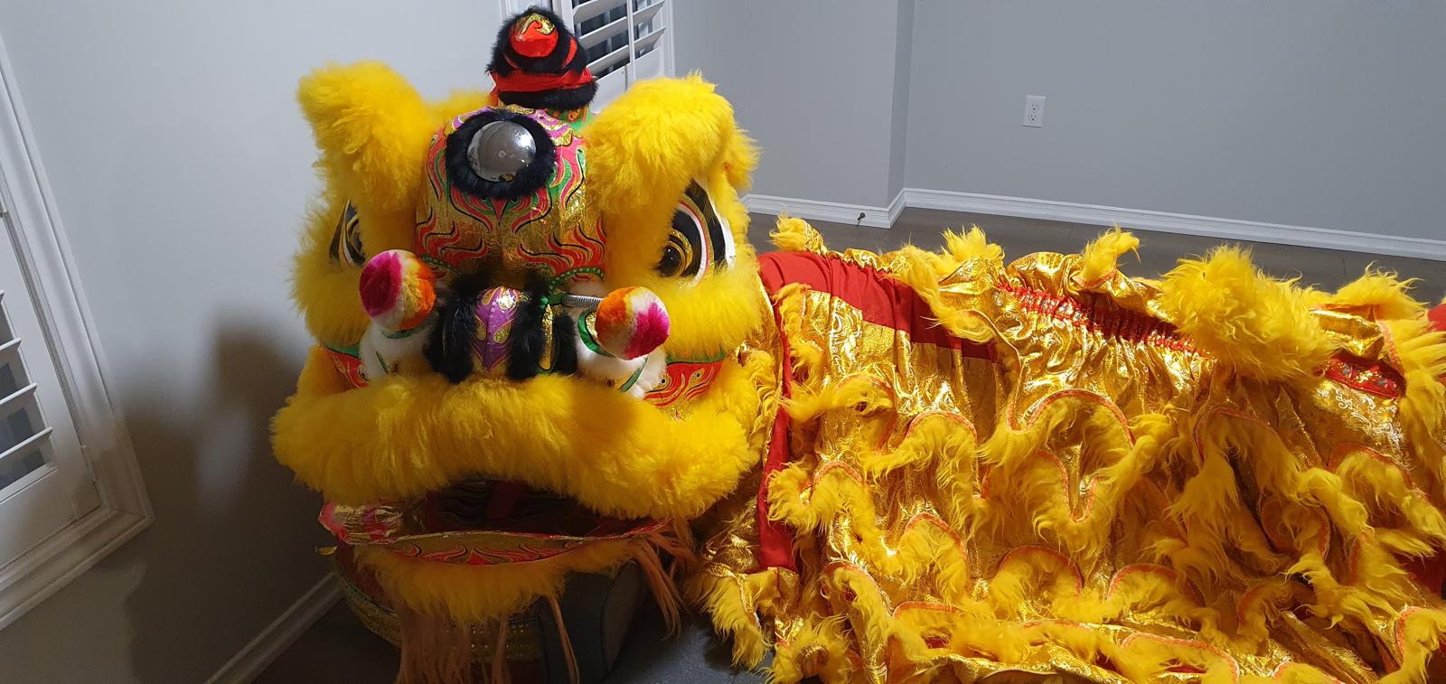 lion picture D Yellow/Gold